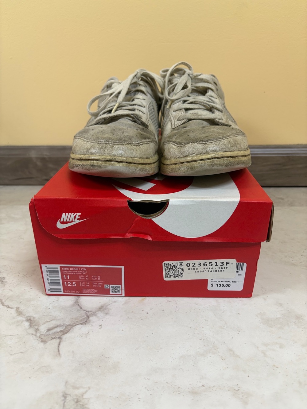 Nike Dunk Low Shoes